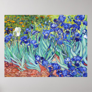 Poster Vincent Van Gogh pintando Íris
