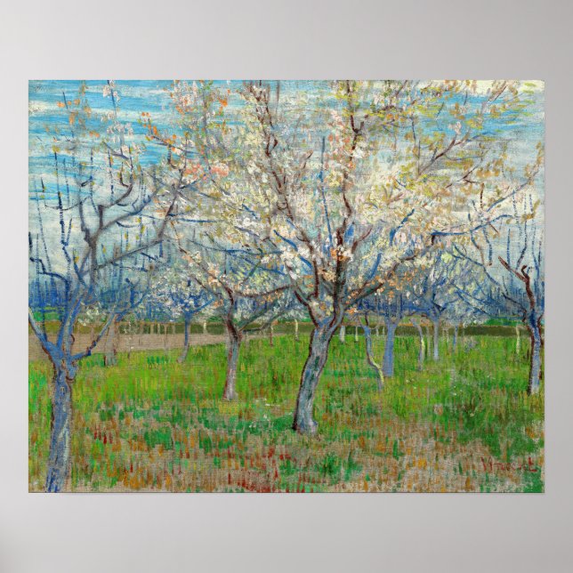 Poster Vincent van Gogh - Pomar Cor-de-Rosa (Frente)