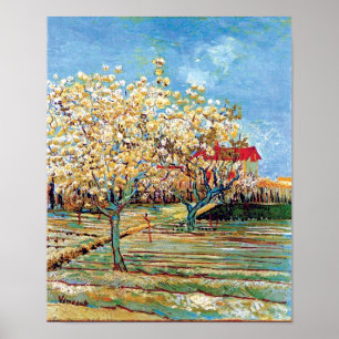 Póster Vincent Van Gogh - Pomar em Flor Arte Fino