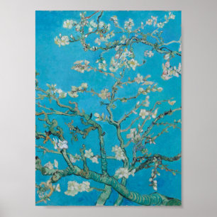 Poster Vincent Van Gogh - Ramificações com Almond Bloss