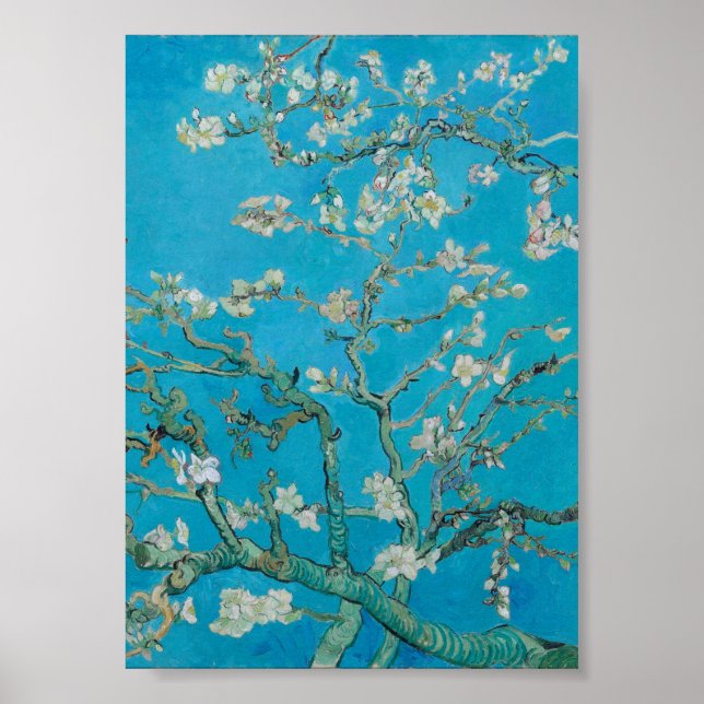 Poster Vincent Van Gogh - Ramificações com Flor de Amêndo (Frente)