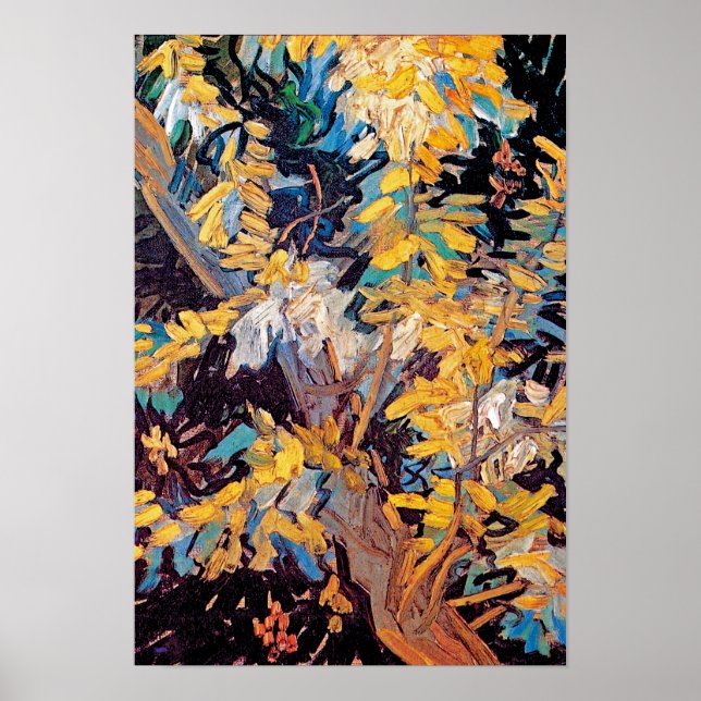 Póster Vincent Van Gogh - Ramificando Acacia Branches (Frente)