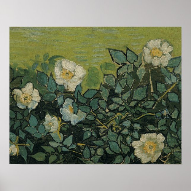 Póster Vincent van Gogh - Rosas selvagens (Frente)