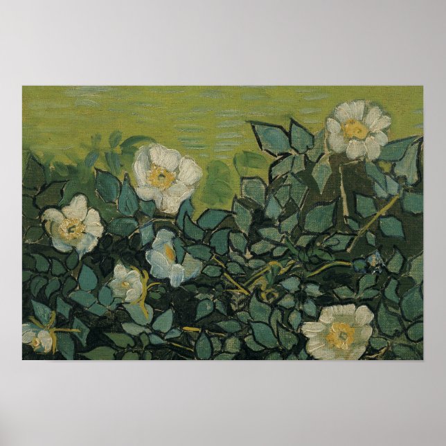 Poster Vincent van Gogh - Rosas selvagens (Frente)