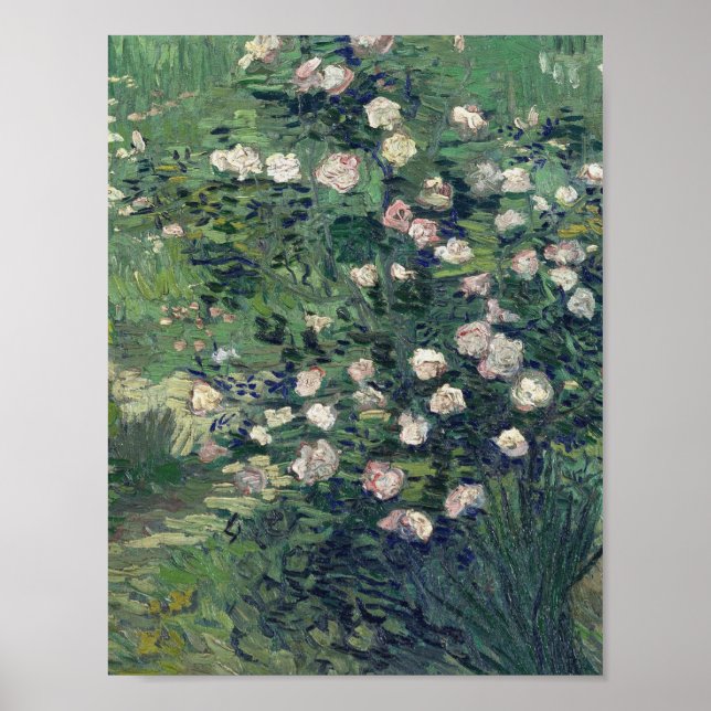 Poster Vincent Van Gogh - Rosebush no Blossom (Frente)