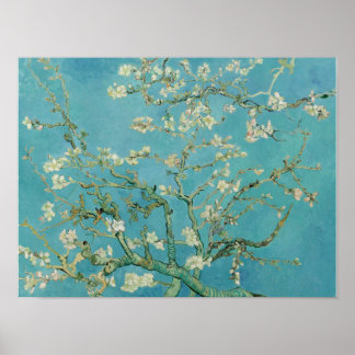 Poster Vincent van Gogh, Sprig de Amêndoa Flor