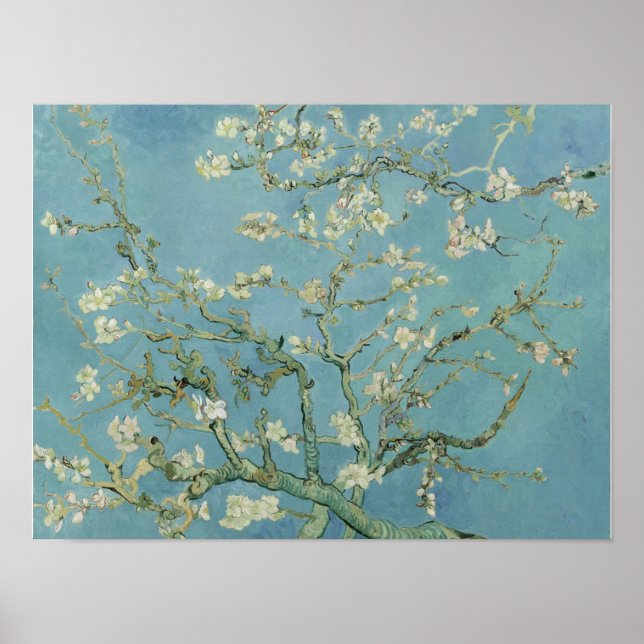 Poster Vincent van Gogh, Sprig de Amêndoa Flor (Frente)