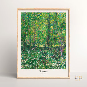 Poster Vincent van Gogh Trees and Undergrowth Art Impress