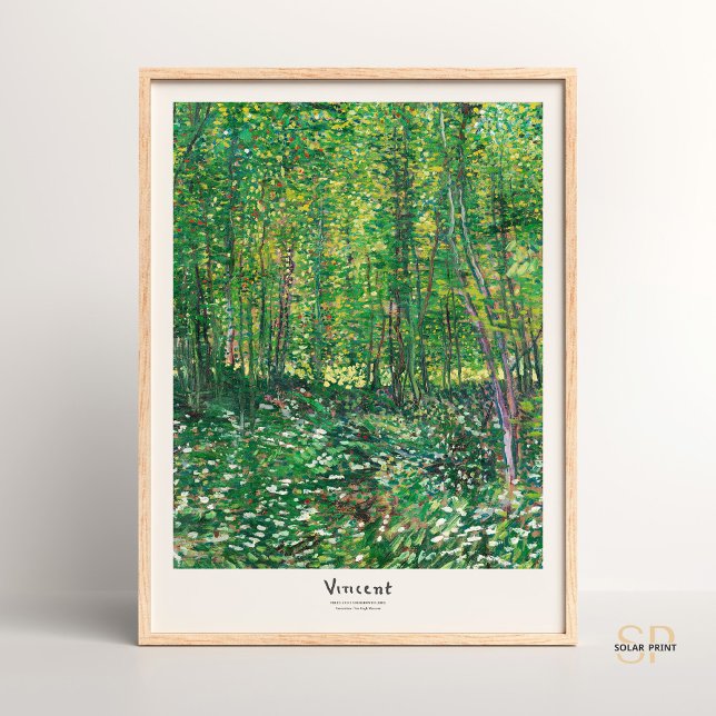 Poster Vincent van Gogh Trees and Undergrowth Art Impress (Criador carregado)
