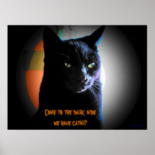 Poster Vindo ao lado escuro nós temos o catnip