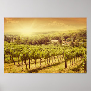 Poster Vineyards Landscape