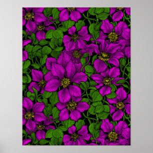 Poster Vinha de Clematis rosa