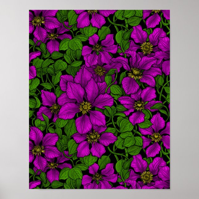 Poster Vinha de Clematis rosa (Frente)