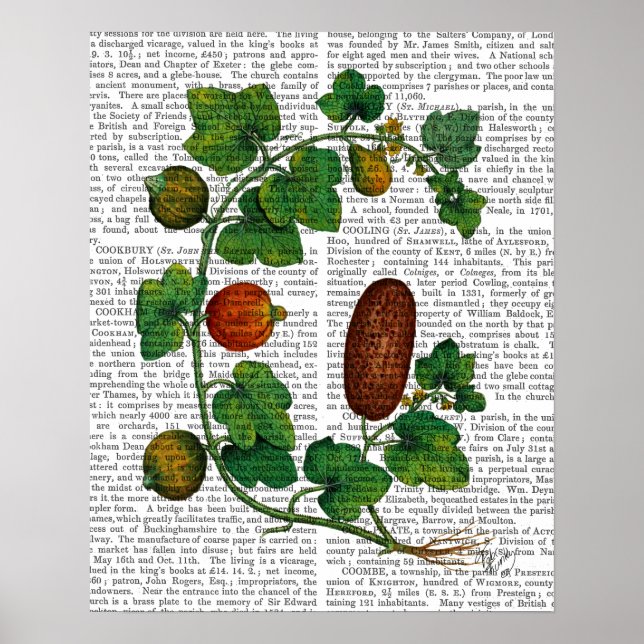 Póster Vinha-de-vidro 3 (Frente)