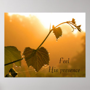 Póster Vinha & Dewdrops em Nascer do sol-Inspirado