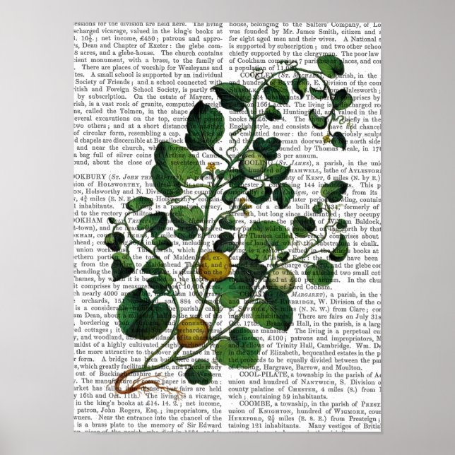 Poster Vinha-esquadrão 4 (Frente)