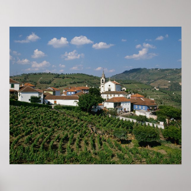 Poster Vinhas, Aldeia de São Miguel, Douro (Frente)