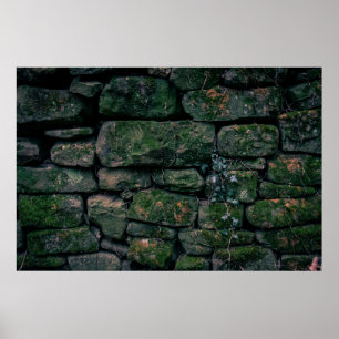 Poster Vinhas castanhas em blocos de pedra empilhados