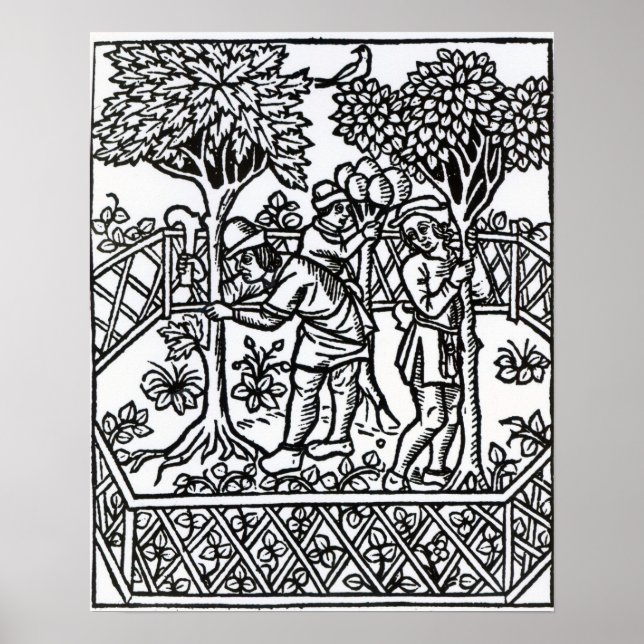 Póster Vinhas Em Tensão (Frente)