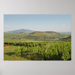 Poster Vinhas Tokaj, Hungria