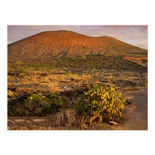 Póster Vinhedo Vulcânico e Caldeira de Lanzarote ao Pôr d