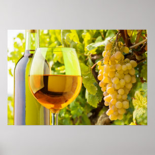 Poster Vinho Branco E Uvas