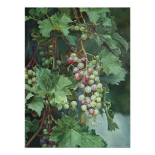 Póster Vinho de Uvas Realista com Folhas - Belas Artes