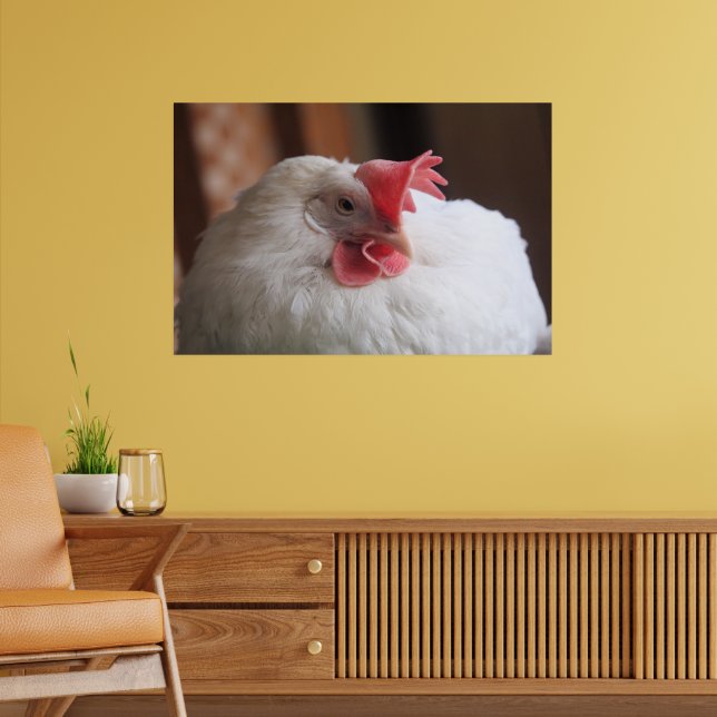 Poster Vinnie (Sala de Estar 2)