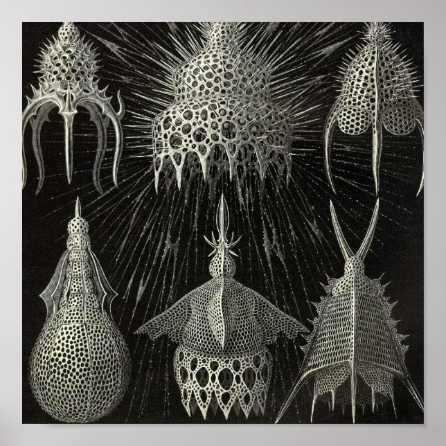 Poster vintage (Frente)