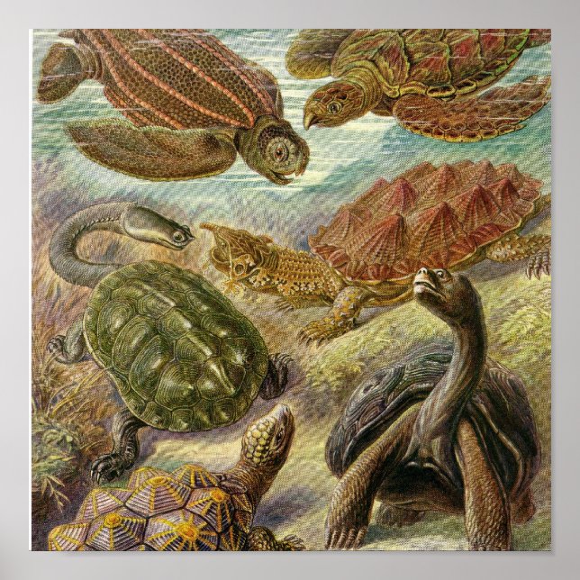 Poster vintage (Frente)