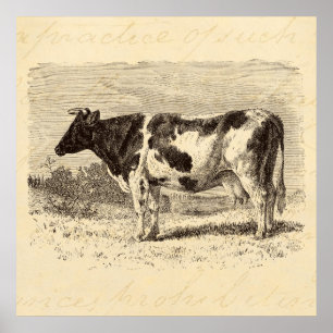 Poster Vintage 1800s Grande Vaca Neerlandesa Retro Vacas 