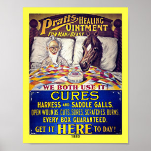 Poster Vintage 1880 Equídeos: Pomada de Cavalo de Prata