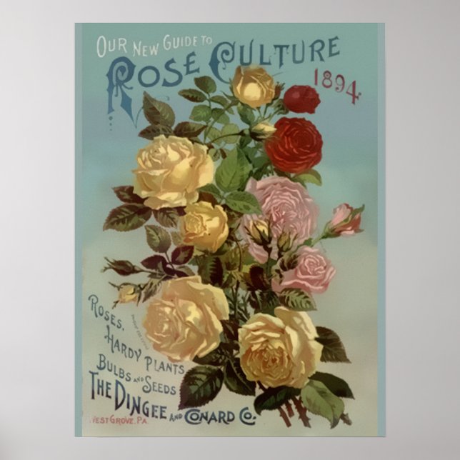 Póster Vintage 1894 Guide to Rosa Culture (Frente)