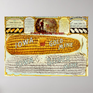 Poster Vintage 1896 Iowa Corn Advertisement