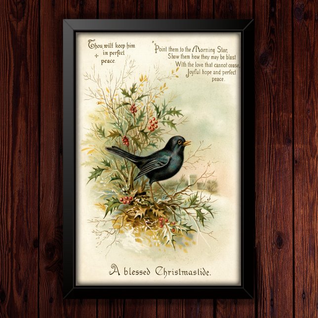 Poster Vintage 1908 Blackbird Natal Holiday Art (Criador carregado)