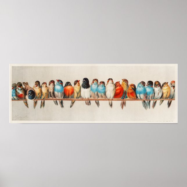 Poster Vintage A Perch of Birds (Frente)