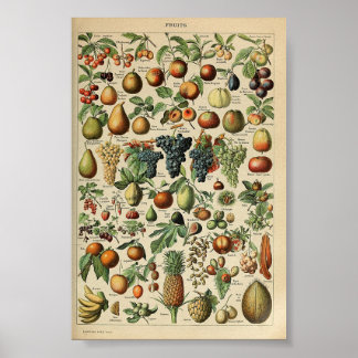 Poster vintage Adolphe_Millot_fruta-pour_tous