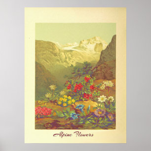Poster Vintage Alpina Flowers Art