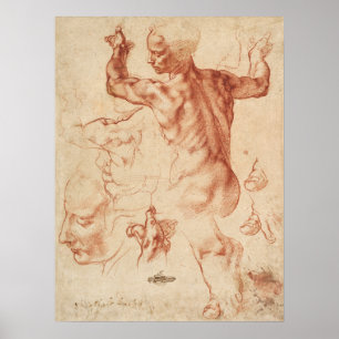 Poster Vintage Anatomical Sketch