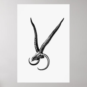 Poster Vintage Animal Skull