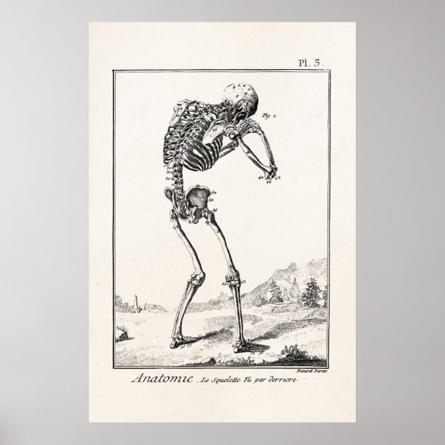 Póster Vintage Antique Esqueleto Humano Anatomia Médica (Frente)