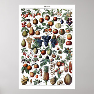 Poster Vintage Antique Fruta francês