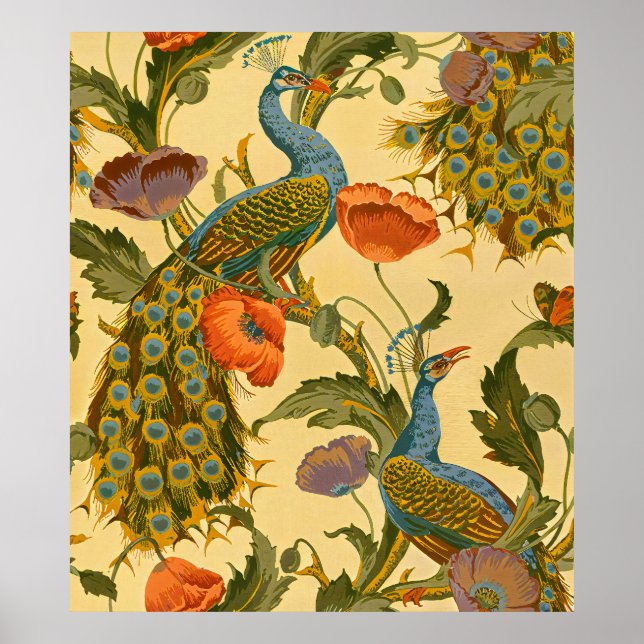 Poster Vintage Art Nouveau 1896 O Padrão Peacock (Frente)