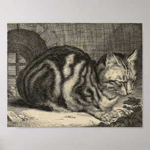 Poster Vintage Art The Large Cat