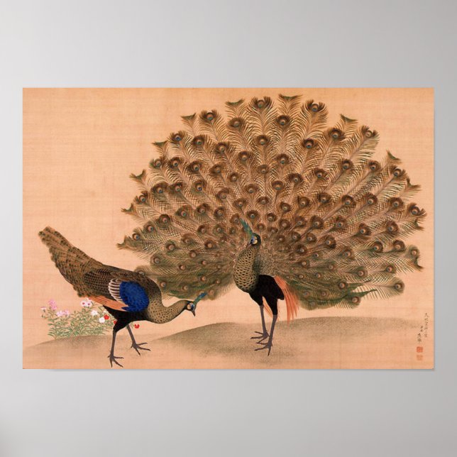 Póster Vintage Asian Peacock (Frente)