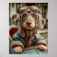 Vintage Aviator Dog Adventure