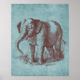 Poster Vintage Baby Elephant