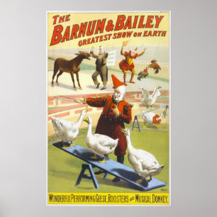 Póster Vintage Barnum 1900 & formato P do circo de Bailey
