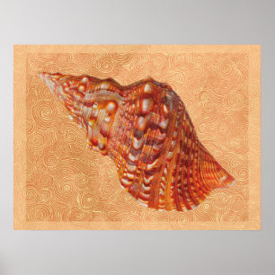 Poster Vintage Beach Seashell