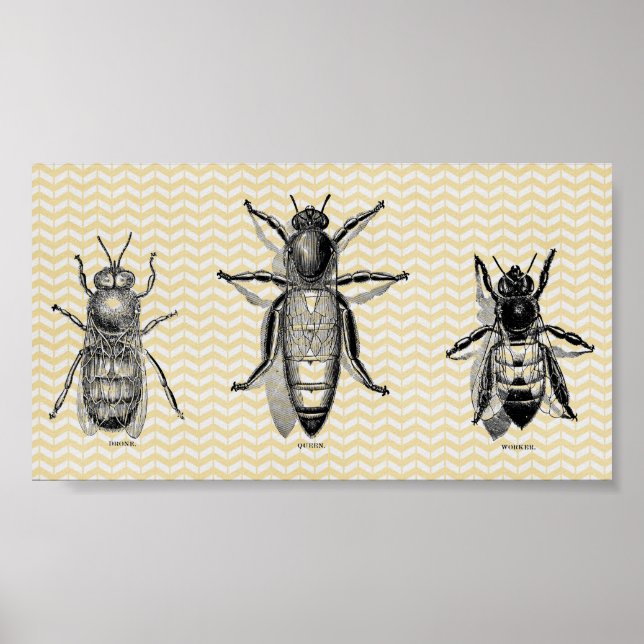 Póster Vintage Bee Art (Frente)